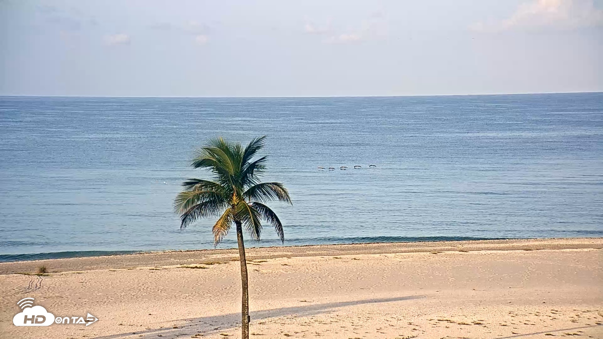 Snapshot of Sanibel Island Flordia Live Webcam taken Aug 20, 2026, 7:50am EDT
