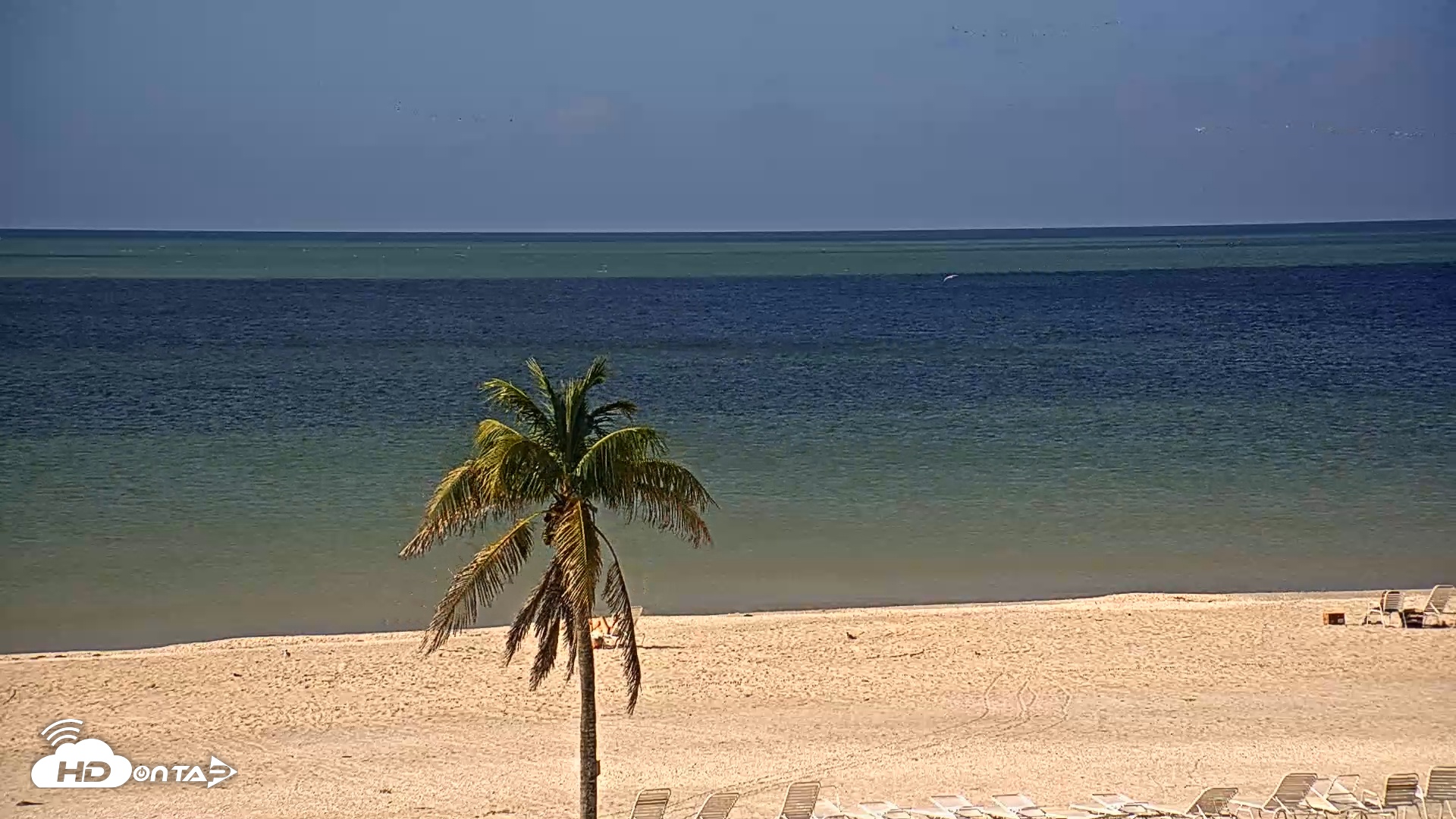 Snapshot of Sanibel Island Flordia Live Webcam taken Oct 8, 2025, 10:16am EDT