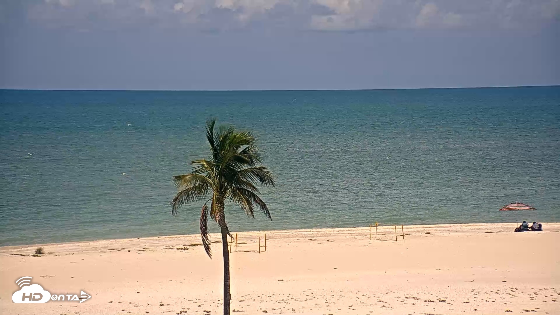 Snapshot of Sanibel Island Flordia Live Webcam taken Aug 9, 2026, 12:40pm EDT