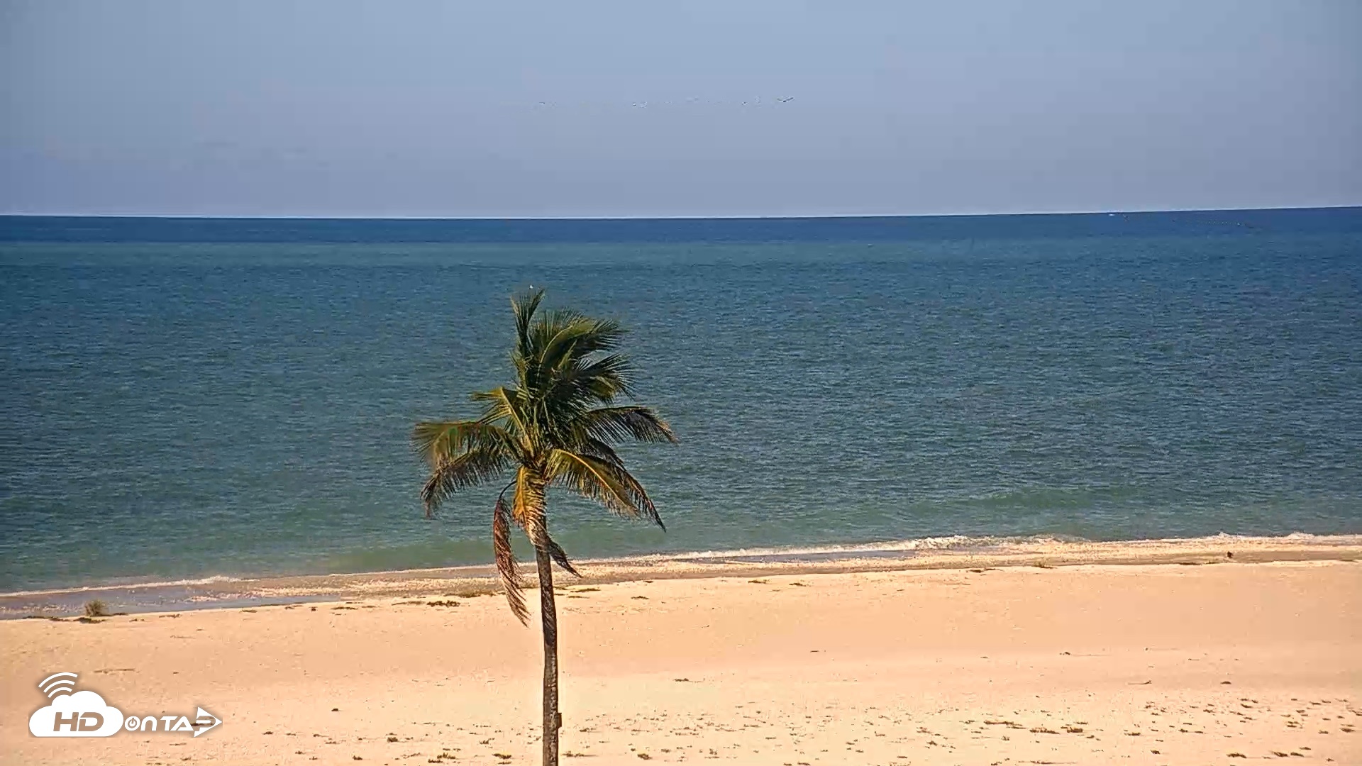 Snapshot of Sanibel Island Flordia Live Webcam taken Aug 11, 2026, 9:34am EDT
