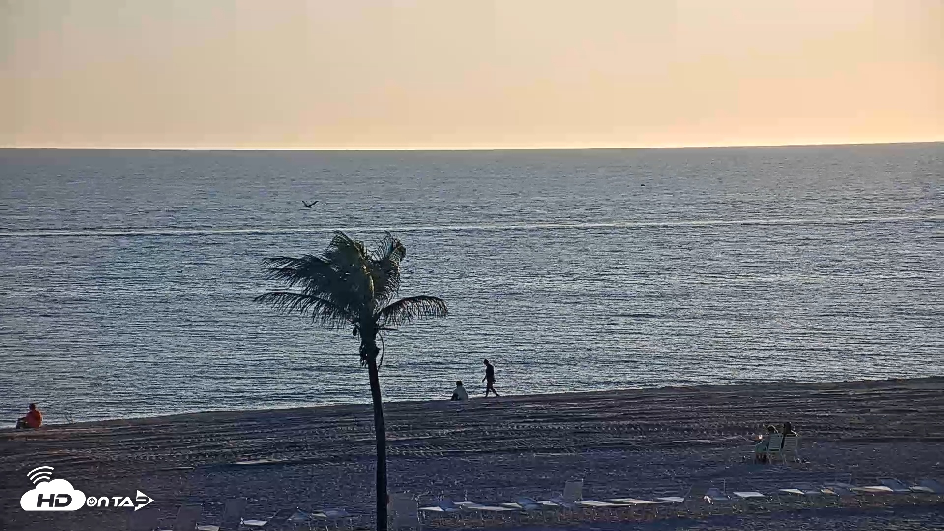 Snapshot of Sanibel Island Flordia Live Webcam taken Feb 7, 2025, 5:41pm EST