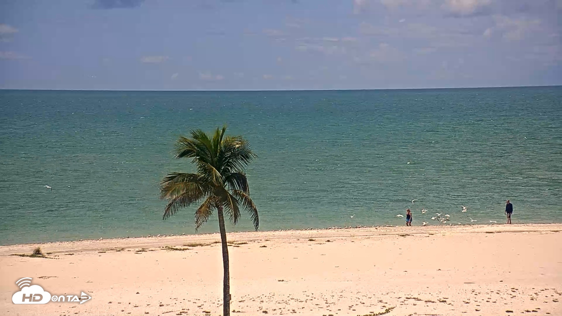 Snapshot of Sanibel Island Flordia Live Webcam taken Sep 7, 2026, 1:12pm EDT