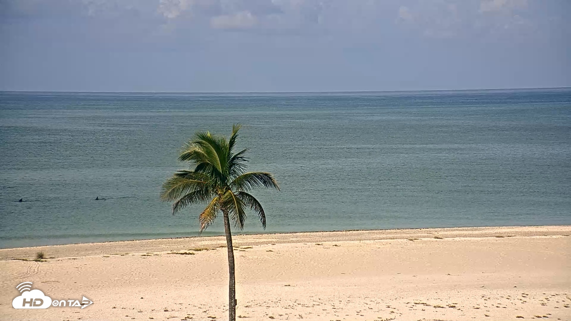 Snapshot of Sanibel Island Flordia Live Webcam taken Aug 20, 2026, 9:37am EDT