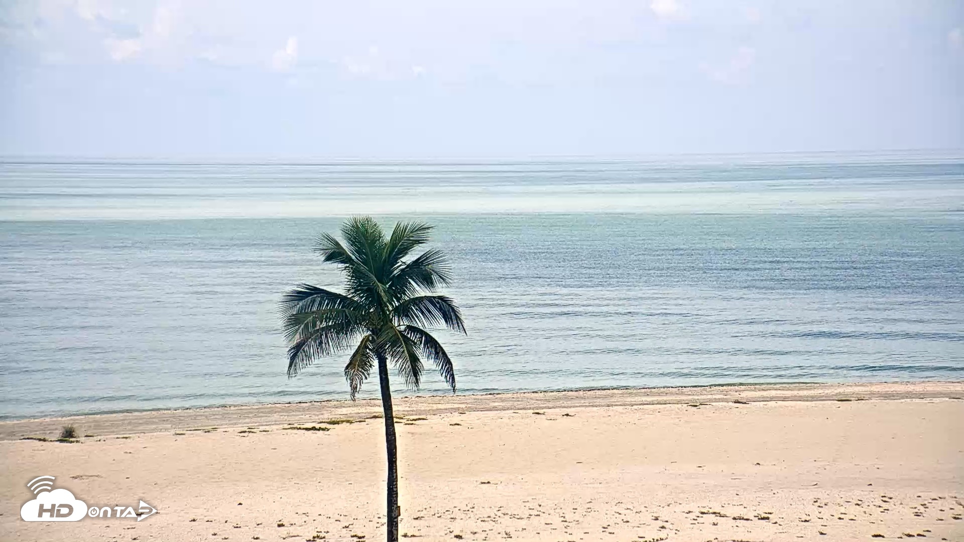 Snapshot of Sanibel Island Flordia Live Webcam taken Aug 20, 2026, 12:04pm EDT