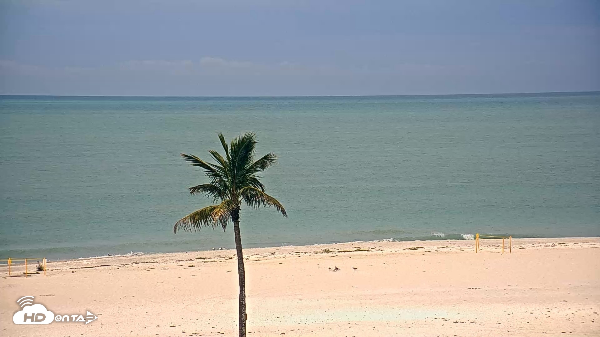 Snapshot of Sanibel Island Flordia Live Webcam taken Jun 9, 2026, 10:21am EDT