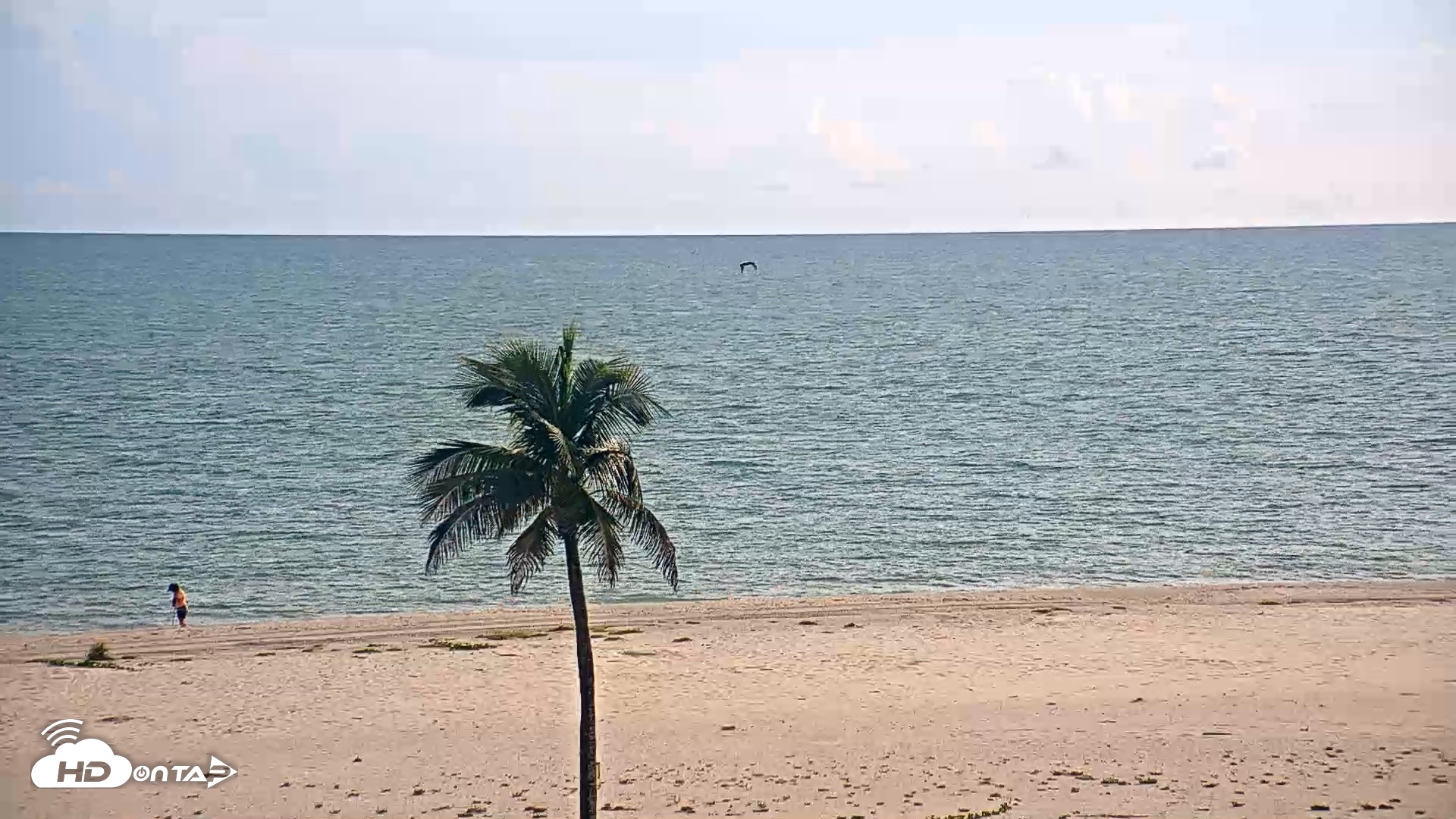 Snapshot of Sanibel Island Flordia Live Webcam taken Aug 31, 2026, 6:31pm EDT