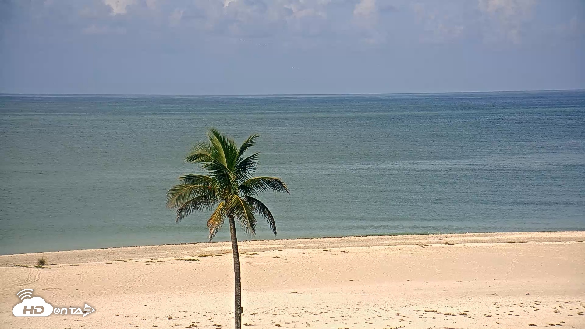 Snapshot of Sanibel Island Flordia Live Webcam taken Aug 20, 2026, 9:42am EDT