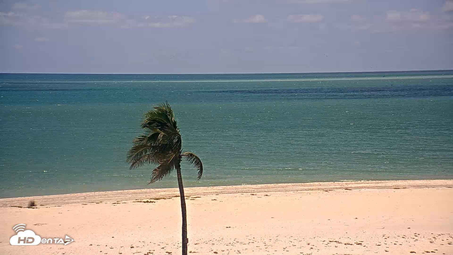 Snapshot of Sanibel Island Flordia Live Webcam taken Aug 18, 2026, 1:49pm EDT