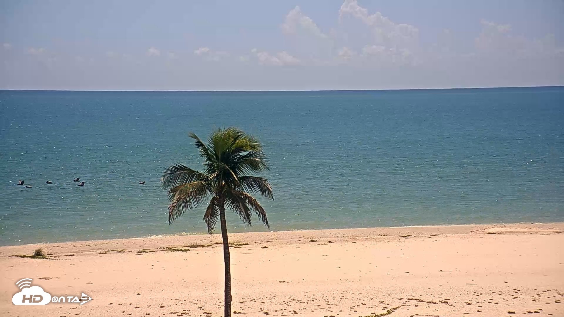 Snapshot of Sanibel Island Flordia Live Webcam taken Sep 11, 2026, 2:21pm EDT