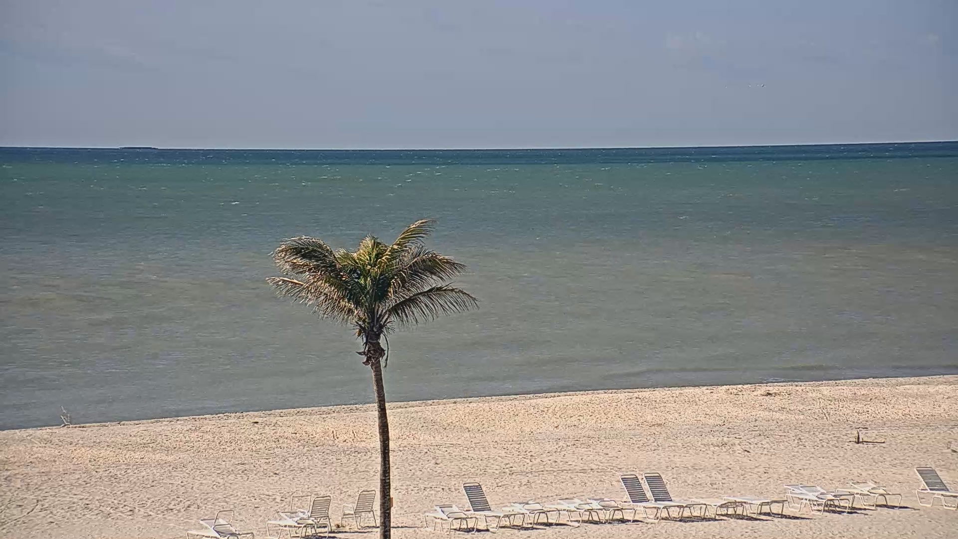 Snapshot of Sanibel Island Flordia Live Webcam taken Jan 16, 2025, 10:32am EST