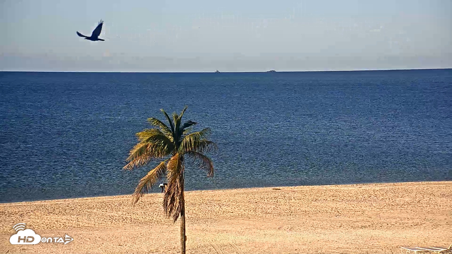 Snapshot of Sanibel Island Flordia Live Webcam taken Oct 15, 2025, 8:38am EDT