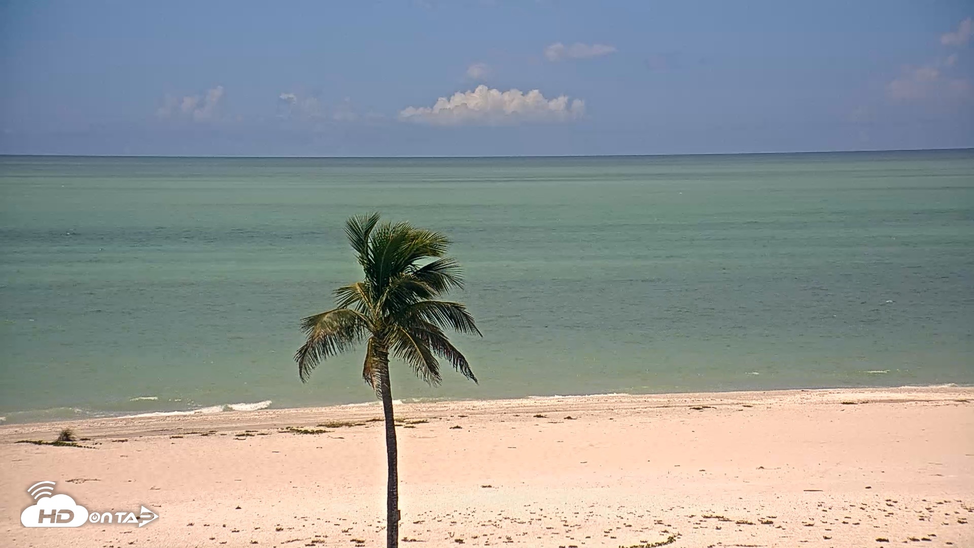 Snapshot of Sanibel Island Flordia Live Webcam taken Sep 3, 2026, 11:49am EDT