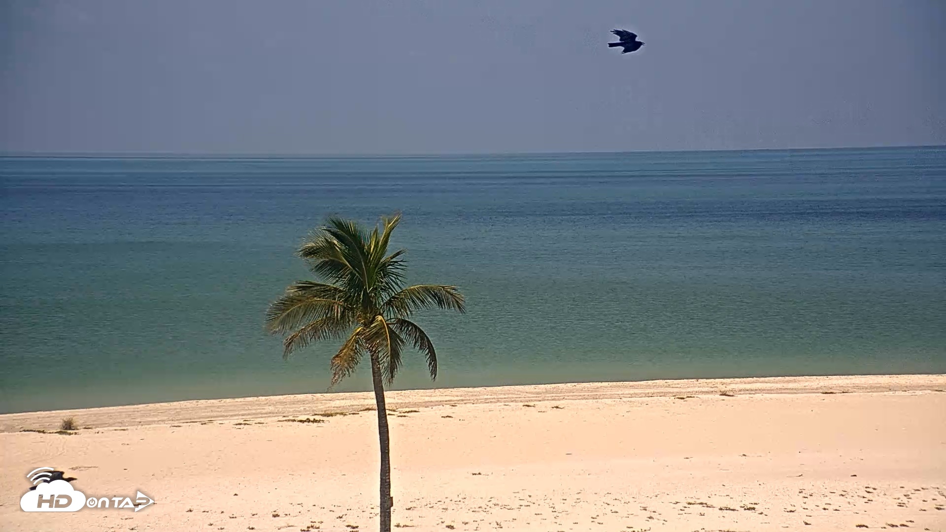 Snapshot of Sanibel Island Flordia Live Webcam taken Aug 17, 2026, 11:54am EDT