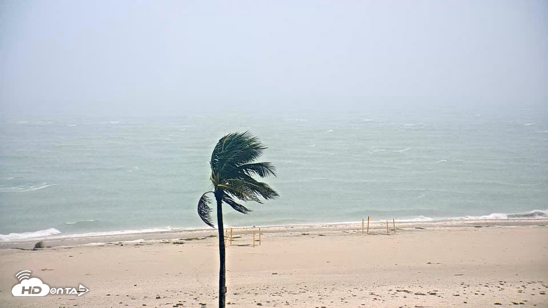 Snapshot of Sanibel Island Flordia Live Webcam taken Aug 5, 2026, 4:59pm EDT