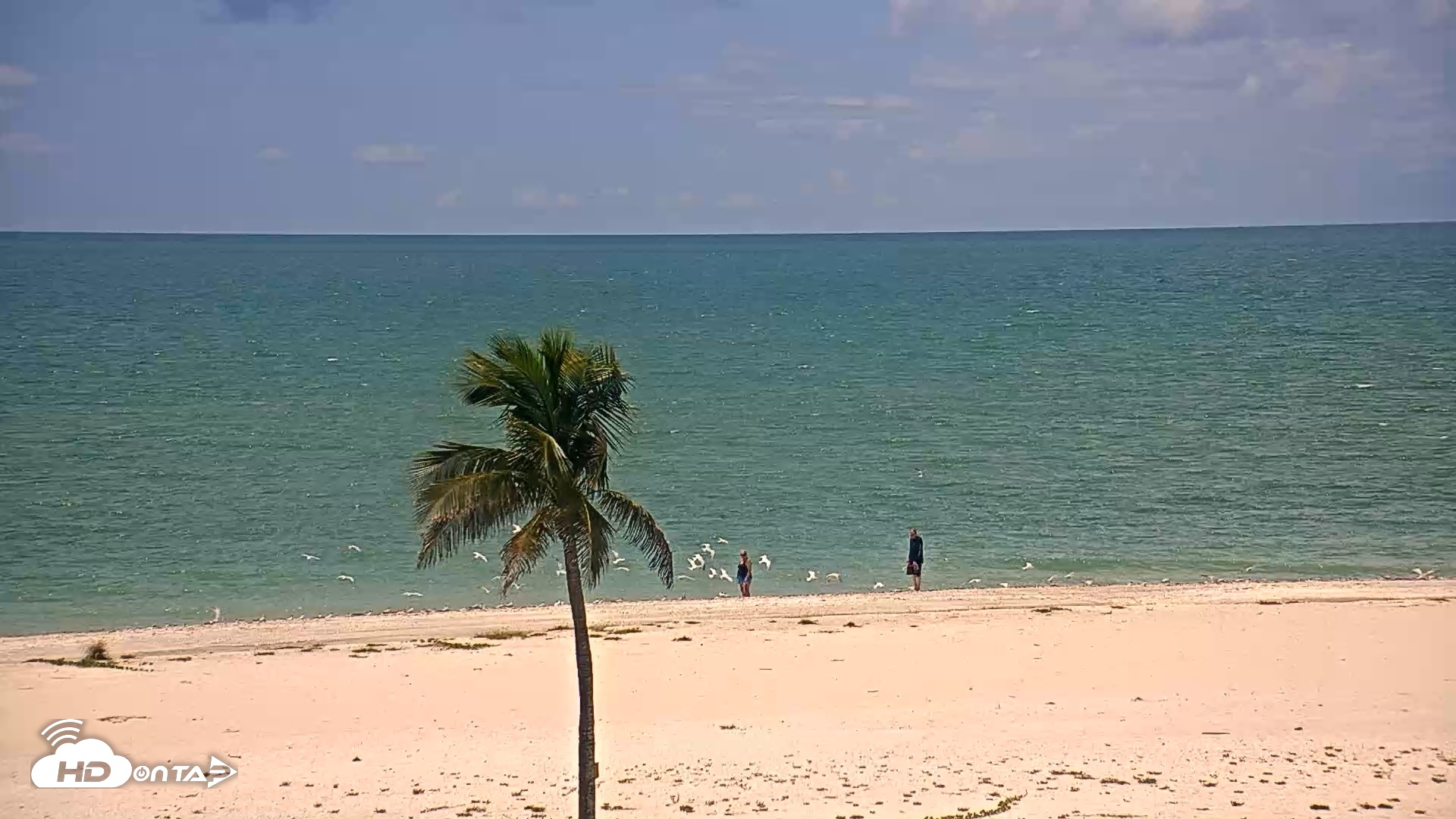 Snapshot of Sanibel Island Flordia Live Webcam taken Sep 7, 2026, 1:12pm EDT
