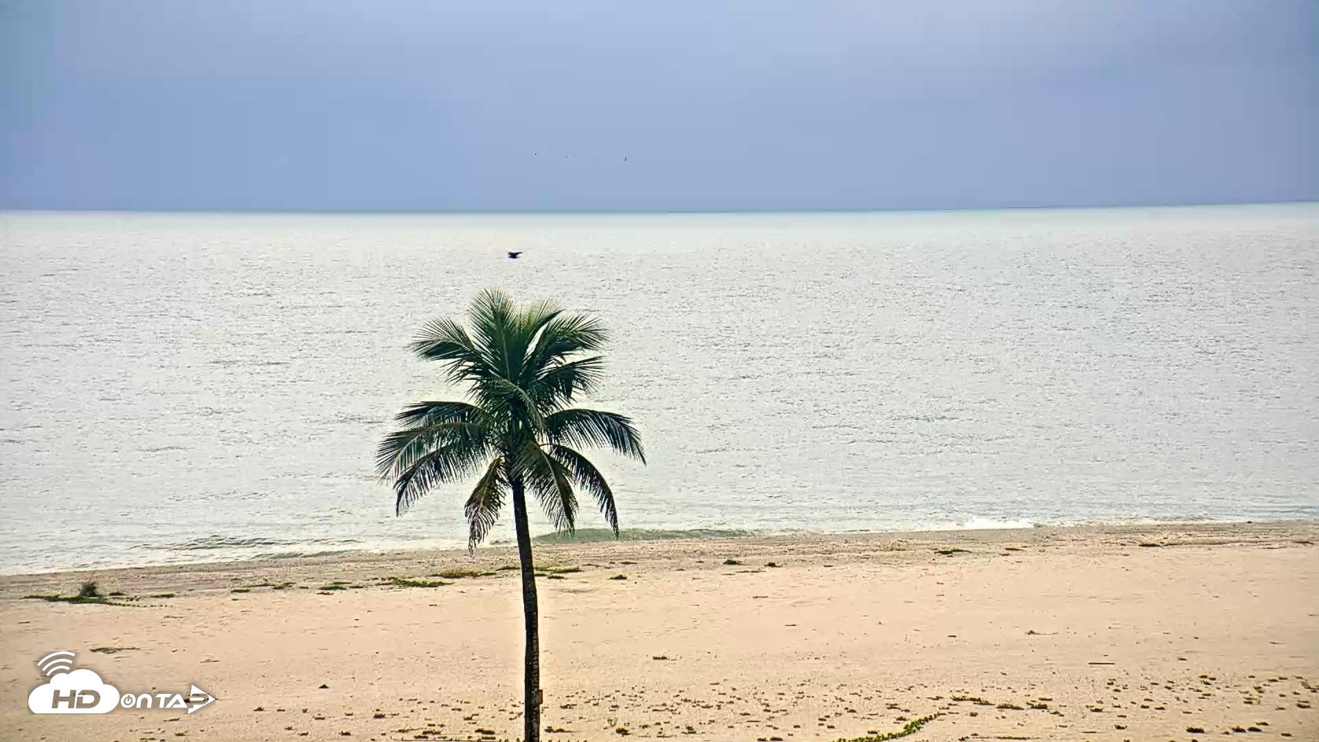 Snapshot of Sanibel Island Flordia Live Webcam taken Sep 13, 2026, 2:41pm EDT