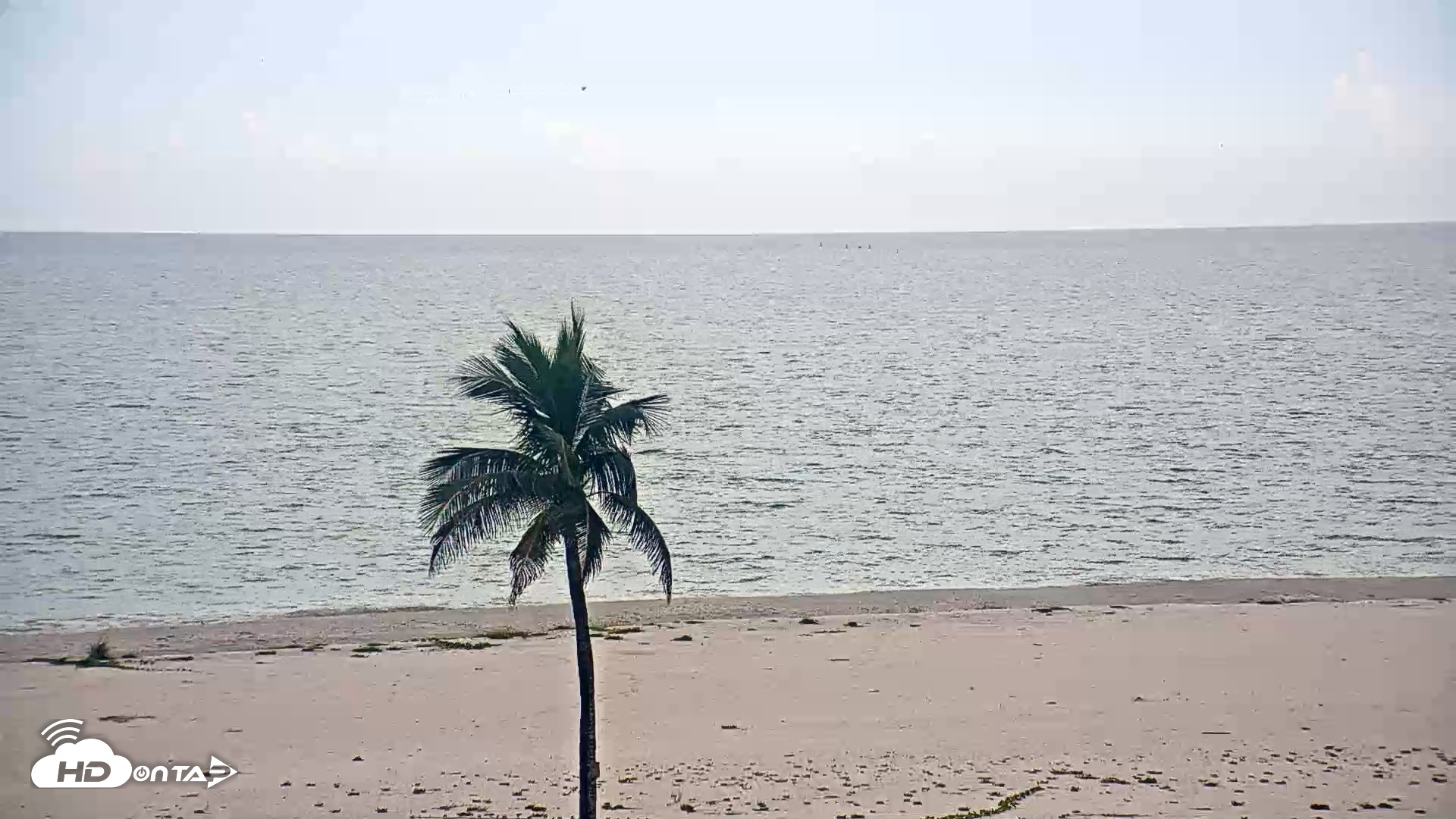 Snapshot of Sanibel Island Flordia Live Webcam taken Sep 15, 2026, 4:24pm EDT