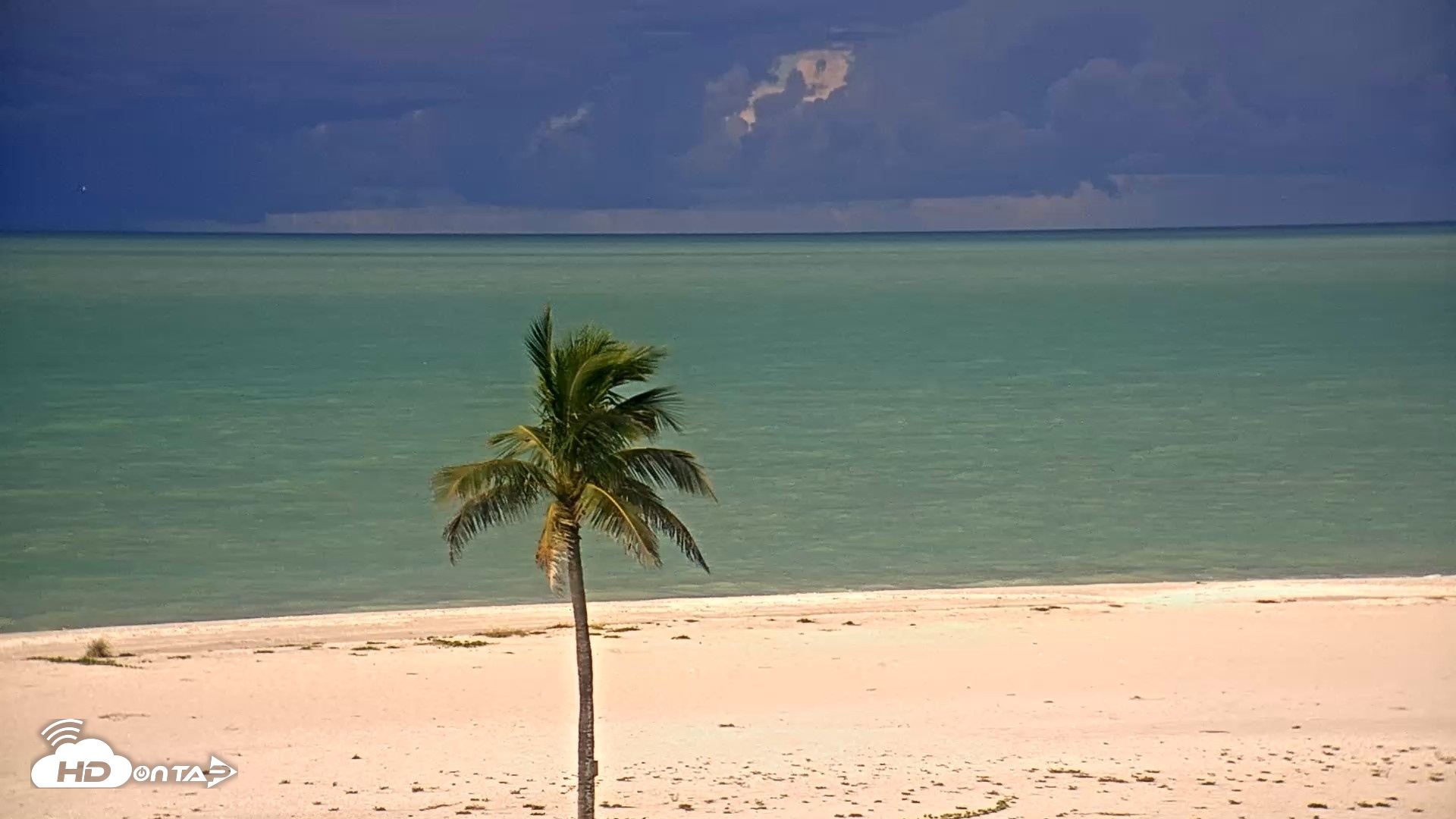 Snapshot of Sanibel Island Flordia Live Webcam taken Sep 3, 2026, 9:20am EDT