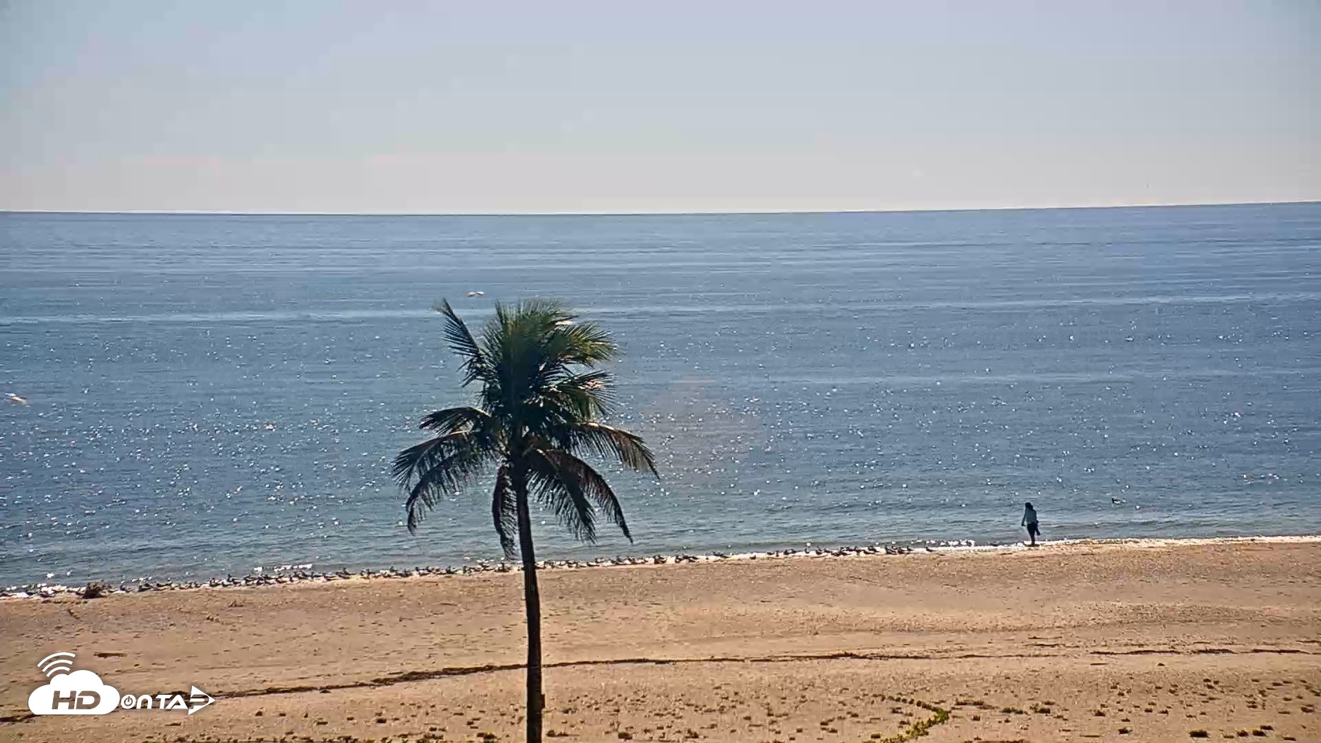 Snapshot of Sanibel Island Flordia Live Webcam taken Oct 14, 2026, 3:48pm EDT