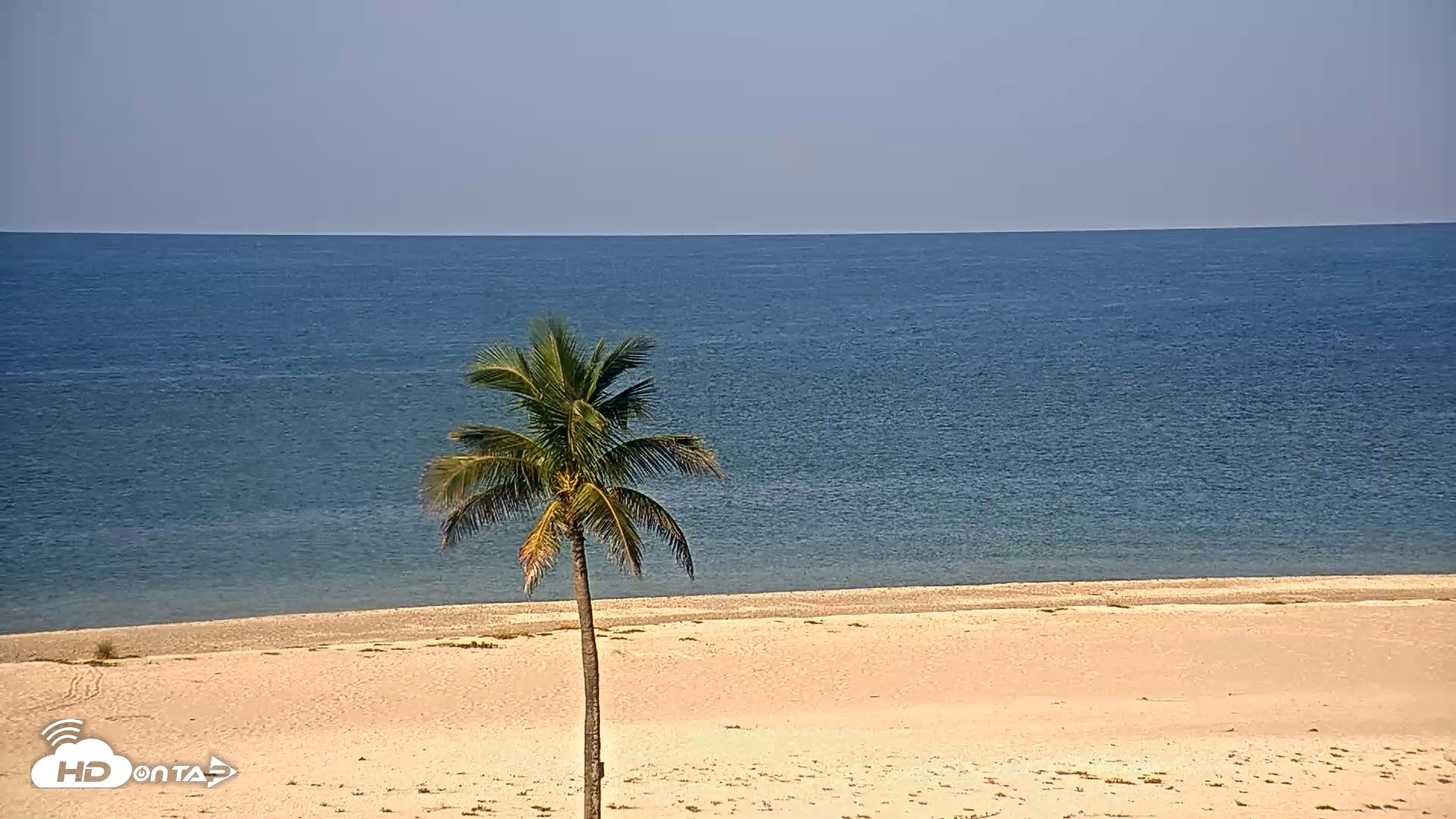 Snapshot of Sanibel Island Flordia Live Webcam taken Aug 17, 2026, 8:50am EDT