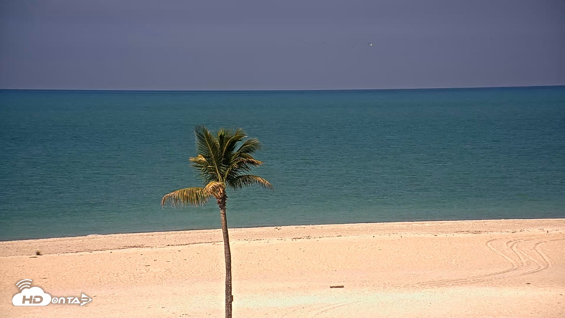 Snapshot of Sanibel Island Flordia Live Webcam taken Apr 29, 2026, 10:21am EDT