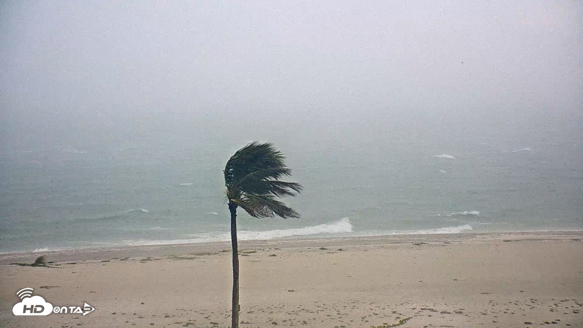 Snapshot of Sanibel Island Flordia Live Webcam taken Sep 10, 2026, 3:38pm EDT