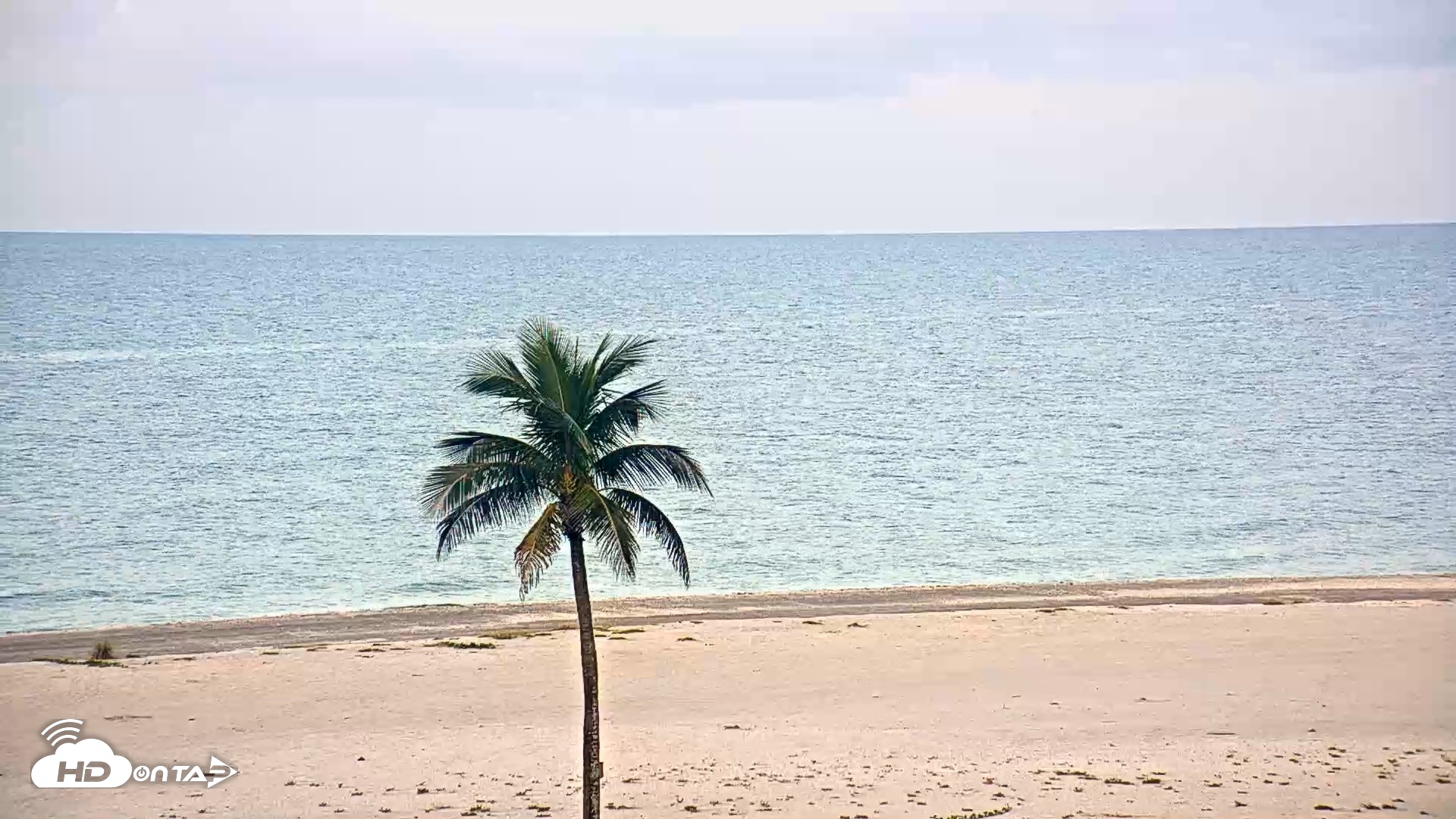 Snapshot of Sanibel Island Flordia Live Webcam taken Aug 25, 2026, 7:19am EDT