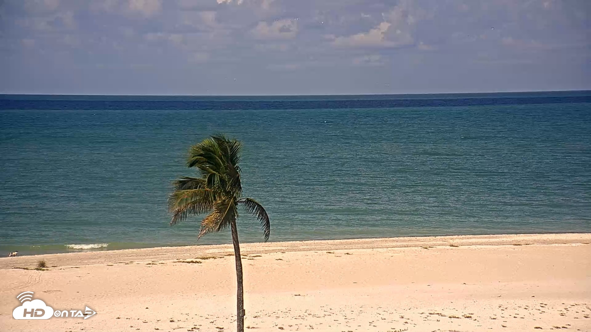 Snapshot of Sanibel Island Flordia Live Webcam taken Aug 19, 2026, 10:19am EDT