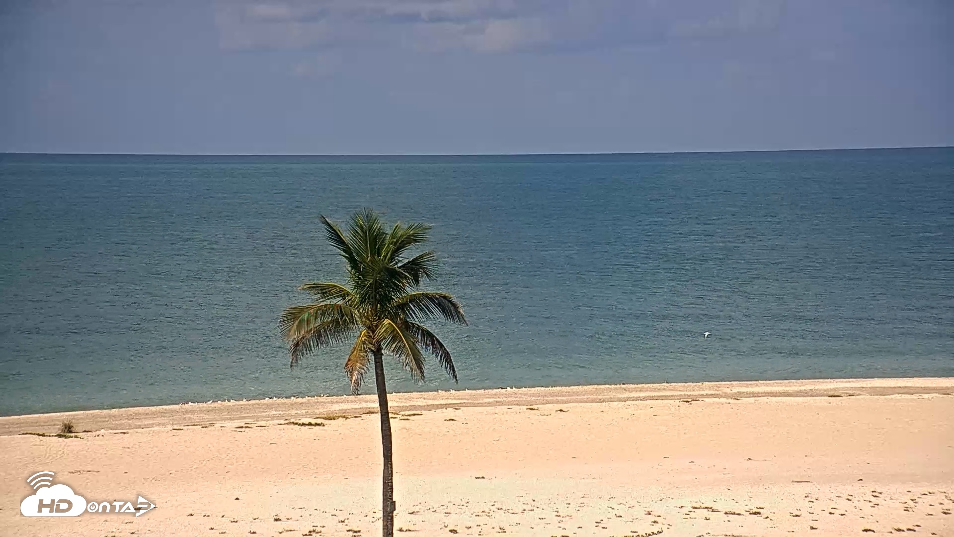 Snapshot of Sanibel Island Flordia Live Webcam taken Aug 24, 2026, 10:41am EDT
