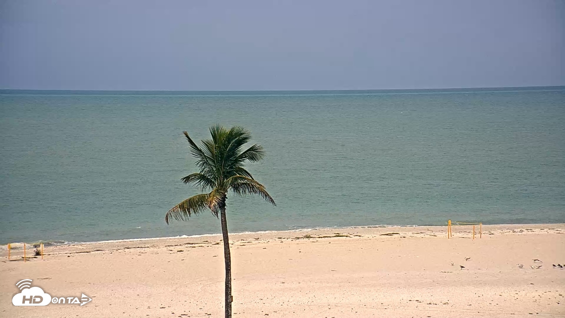Snapshot of Sanibel Island Flordia Live Webcam taken Jun 10, 2026, 10:04am EDT