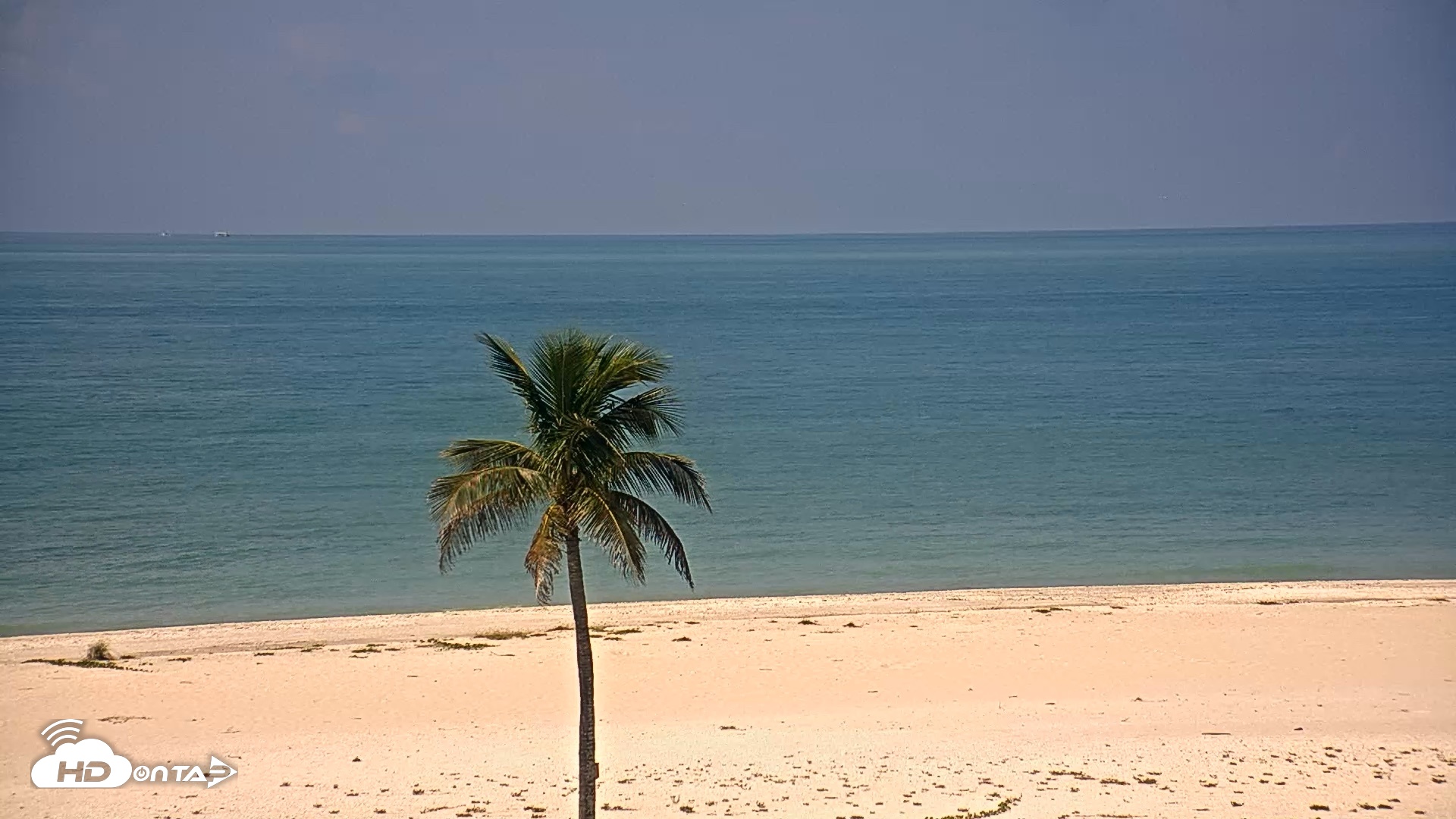 Snapshot of Sanibel Island Flordia Live Webcam taken Sep 5, 2026, 11:39am EDT