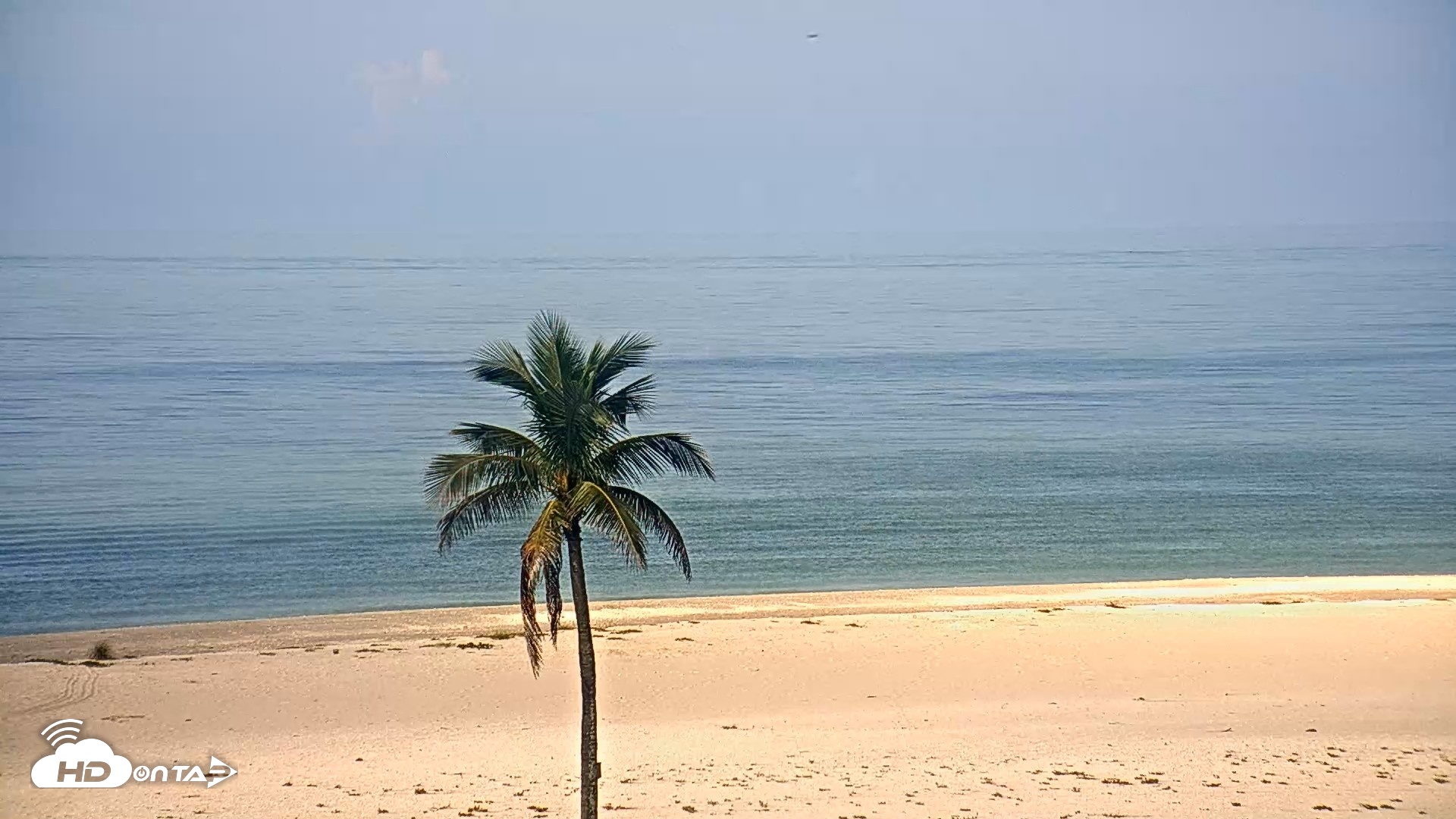 Snapshot of Sanibel Island Flordia Live Webcam taken Aug 12, 2026, 10:12am EDT