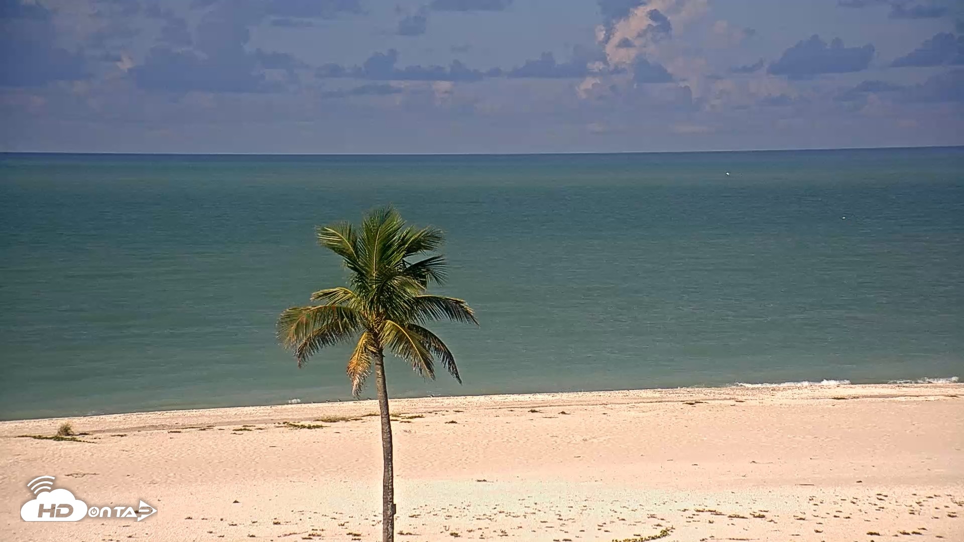 Snapshot of Sanibel Island Flordia Live Webcam taken Sep 4, 2026, 9:03am EDT