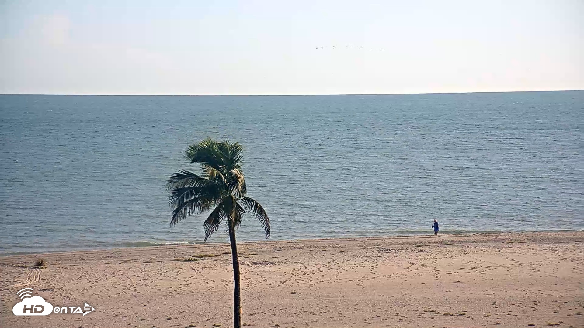 Snapshot of Sanibel Island Flordia Live Webcam taken Aug 13, 2026, 7:07pm EDT