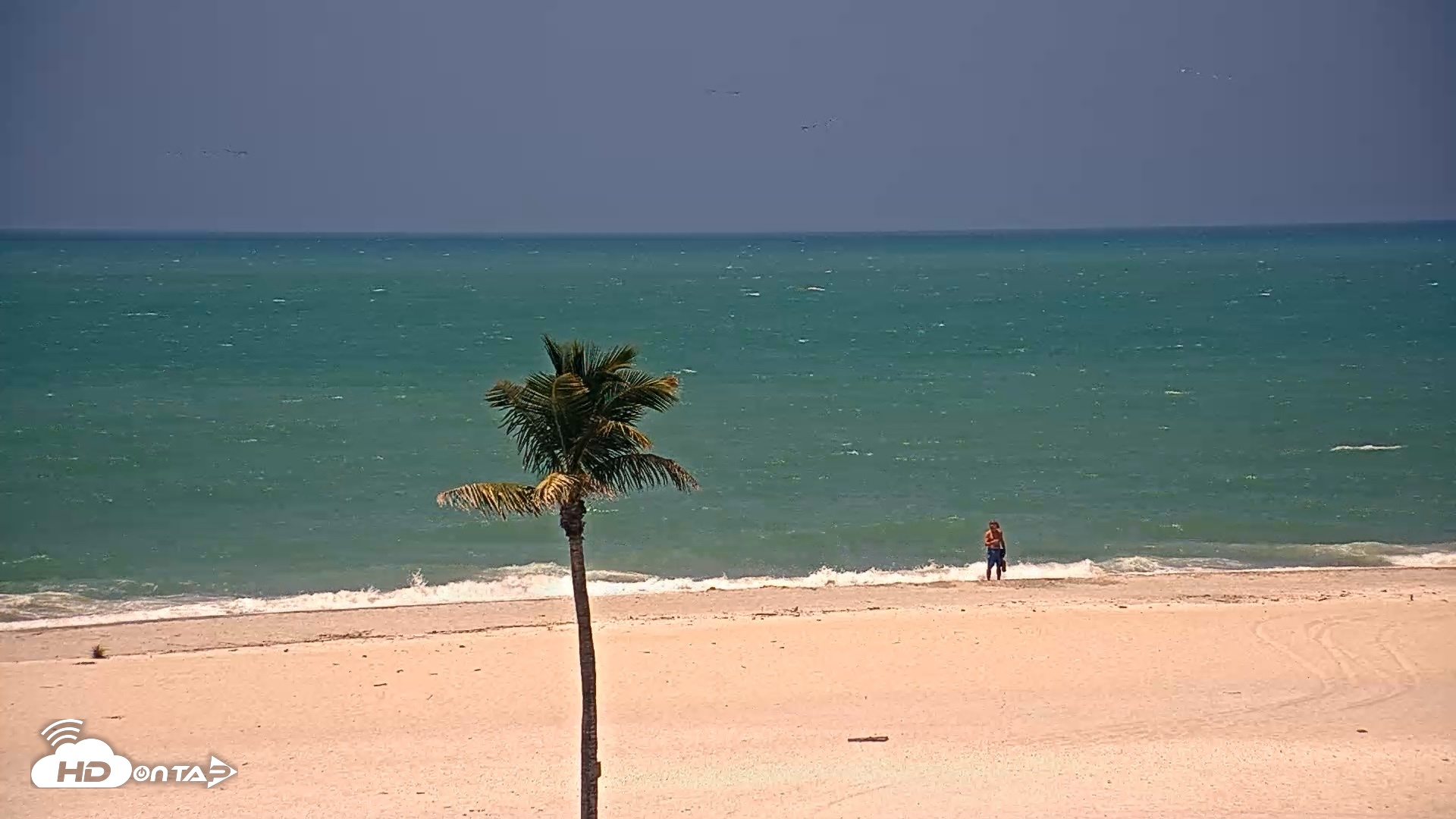 Snapshot of Sanibel Island Flordia Live Webcam taken May 2, 2026, 12:18pm EDT