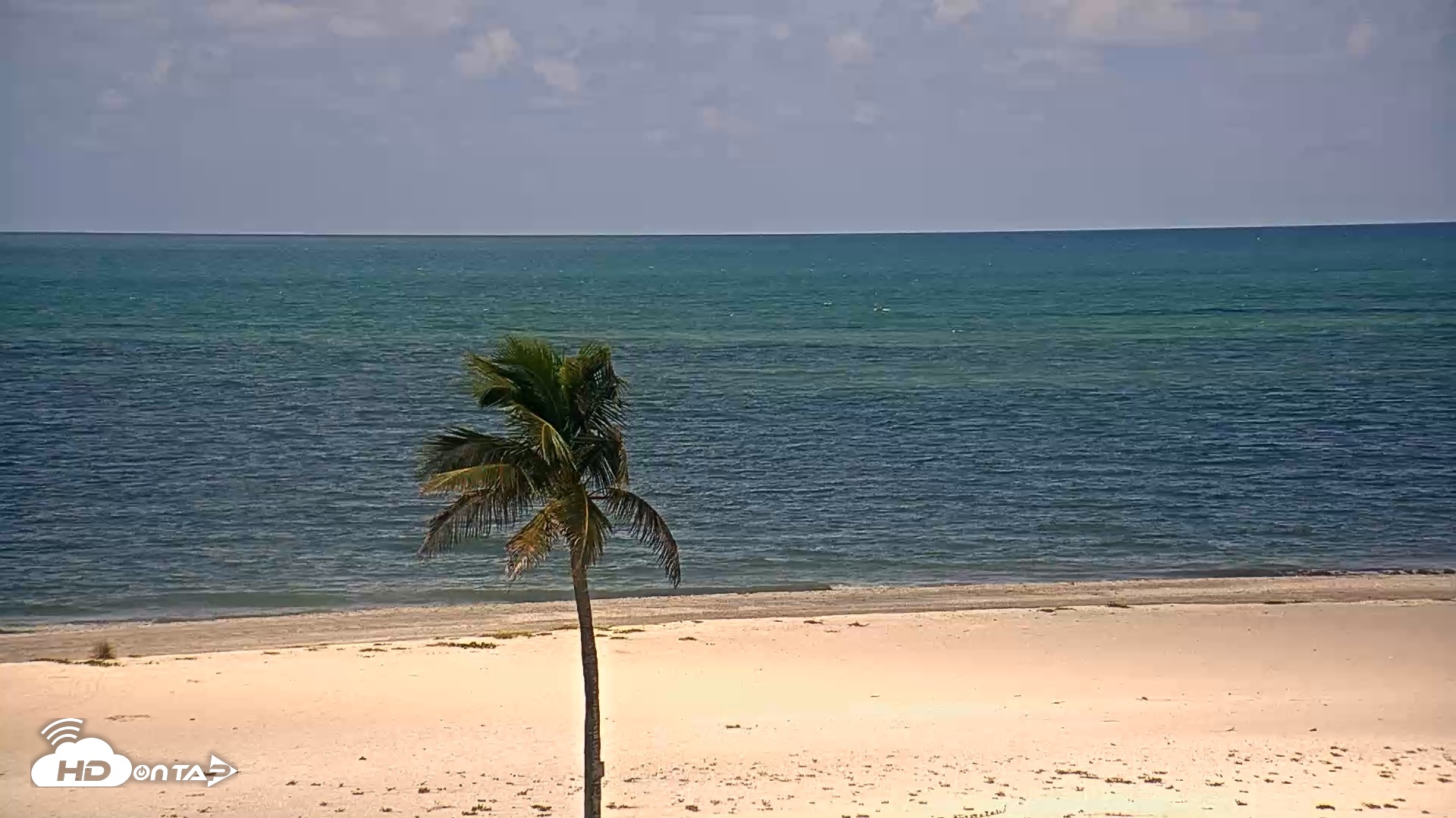 Snapshot of Sanibel Island Flordia Live Webcam taken Aug 19, 2026, 12:06pm EDT