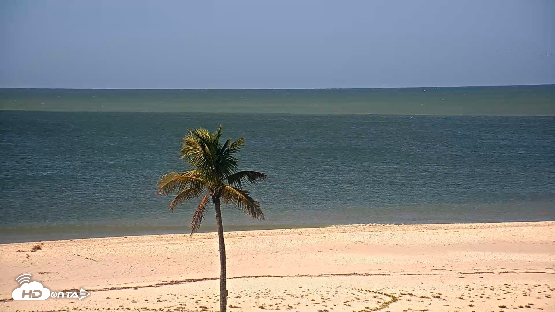 Snapshot of Sanibel Island Flordia Live Webcam taken Oct 20, 2026, 10:38am EDT