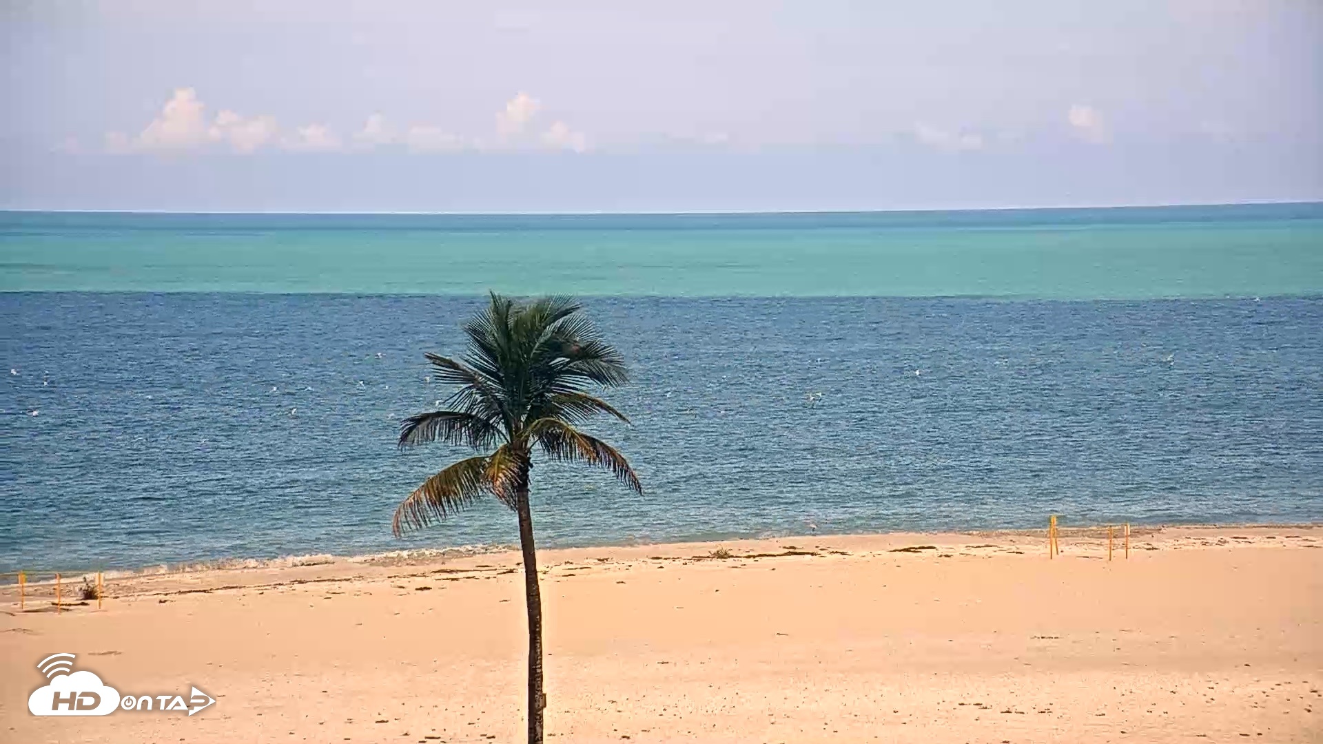Snapshot of Sanibel Island Flordia Live Webcam taken Jun 12, 2026, 11:40am EDT