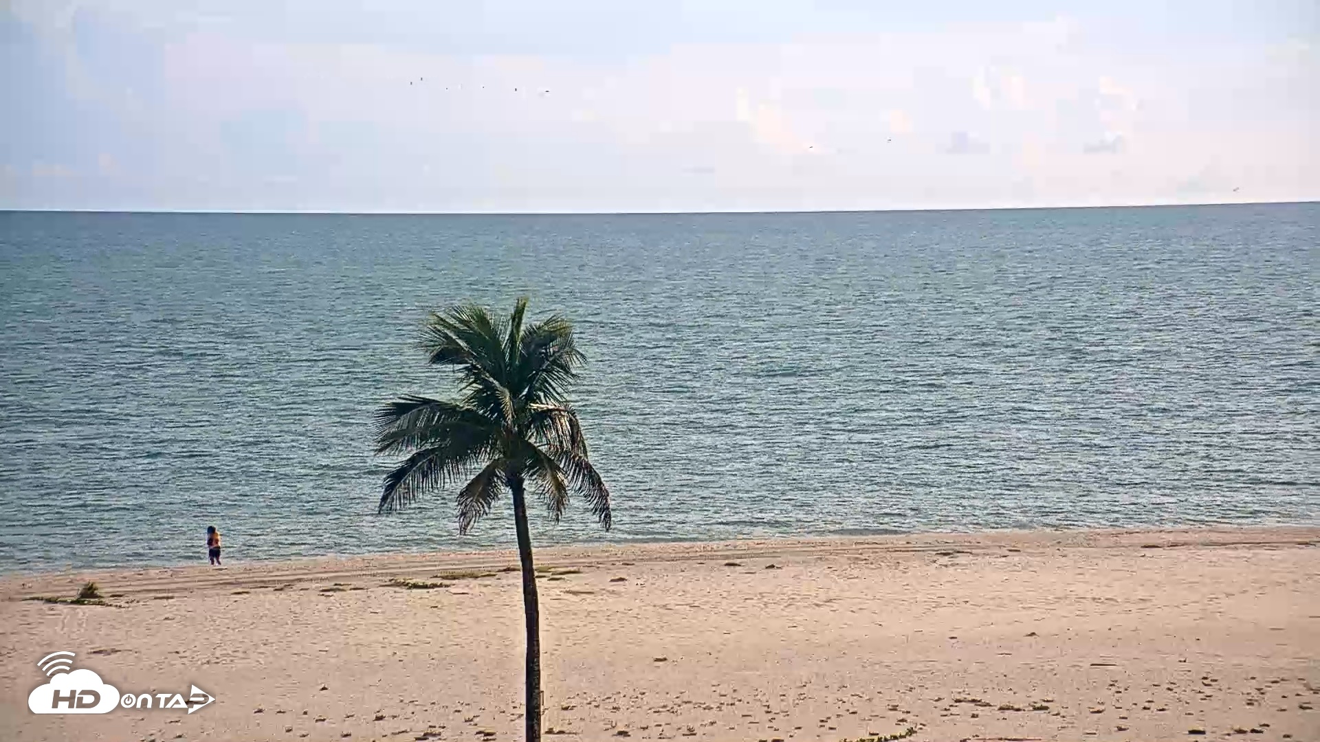 Snapshot of Sanibel Island Flordia Live Webcam taken Aug 31, 2026, 6:31pm EDT