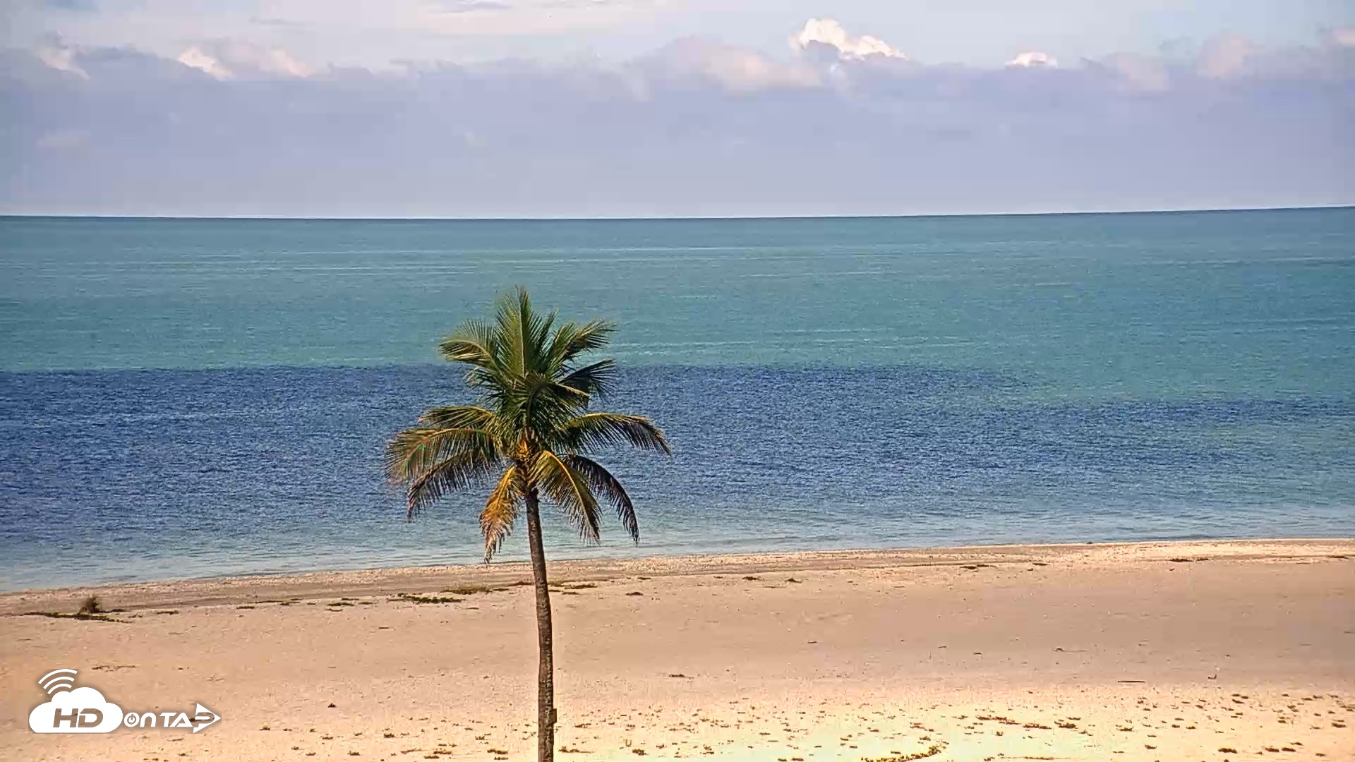 Snapshot of Sanibel Island Flordia Live Webcam taken Sep 1, 2026, 10:00am EDT