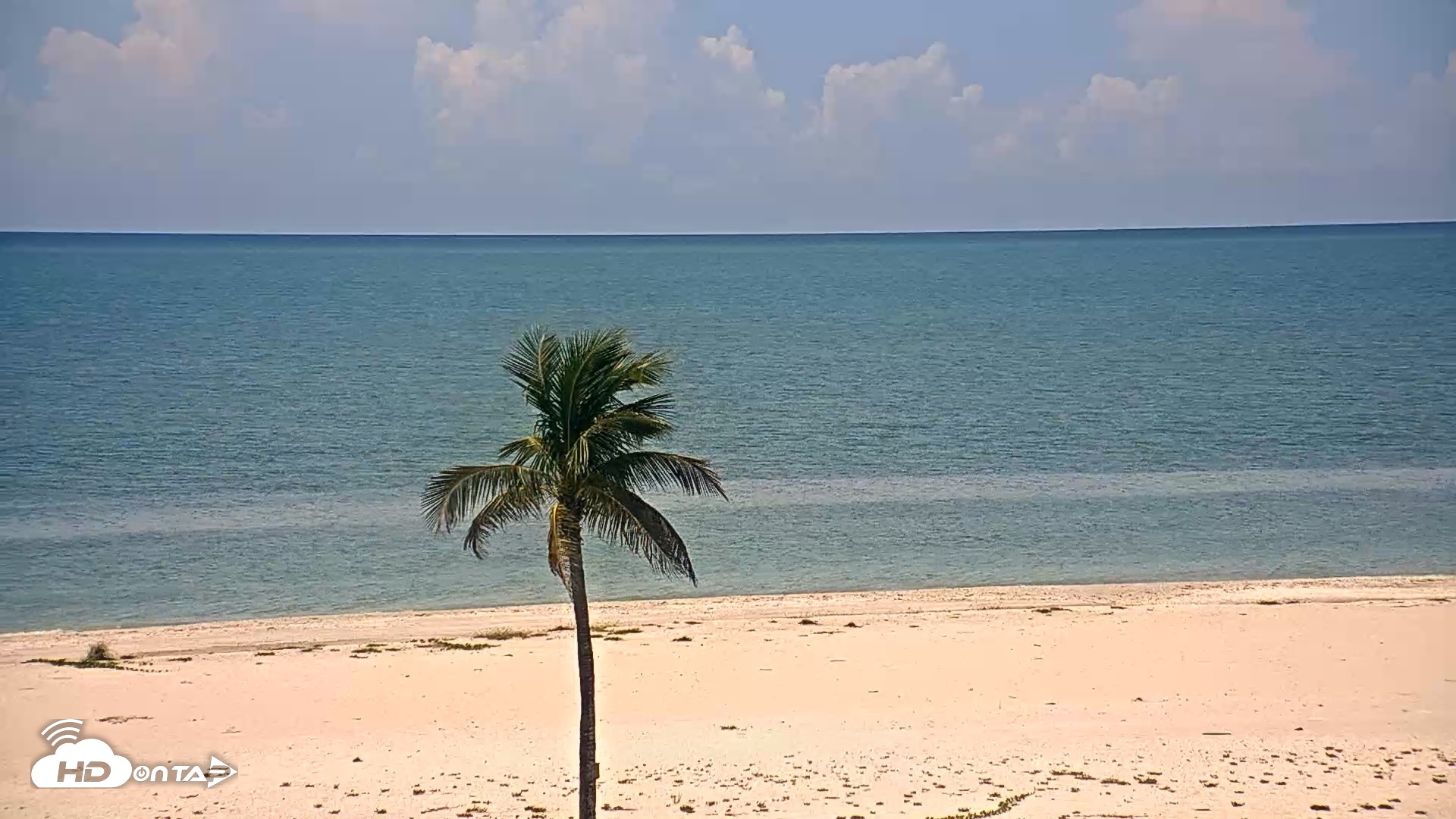 Snapshot of Sanibel Island Flordia Live Webcam taken Sep 10, 2026, 12:36pm EDT