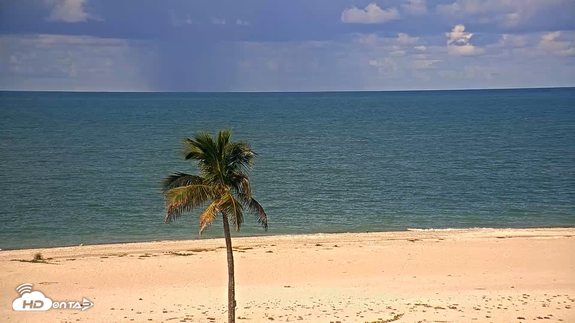 Snapshot of Sanibel Island Flordia Live Webcam taken Sep 7, 2026, 9:45am EDT