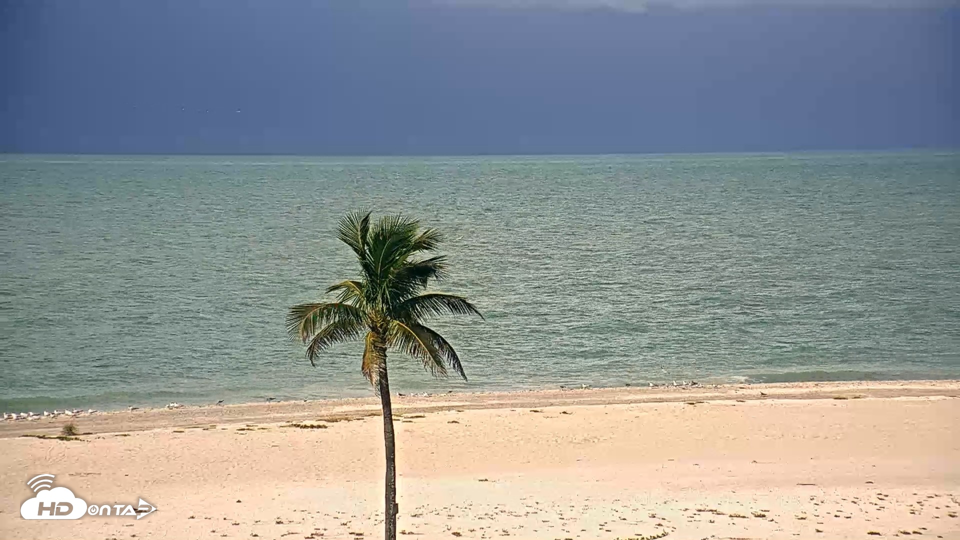 Snapshot of Sanibel Island Flordia Live Webcam taken Aug 27, 2026, 9:50am EDT