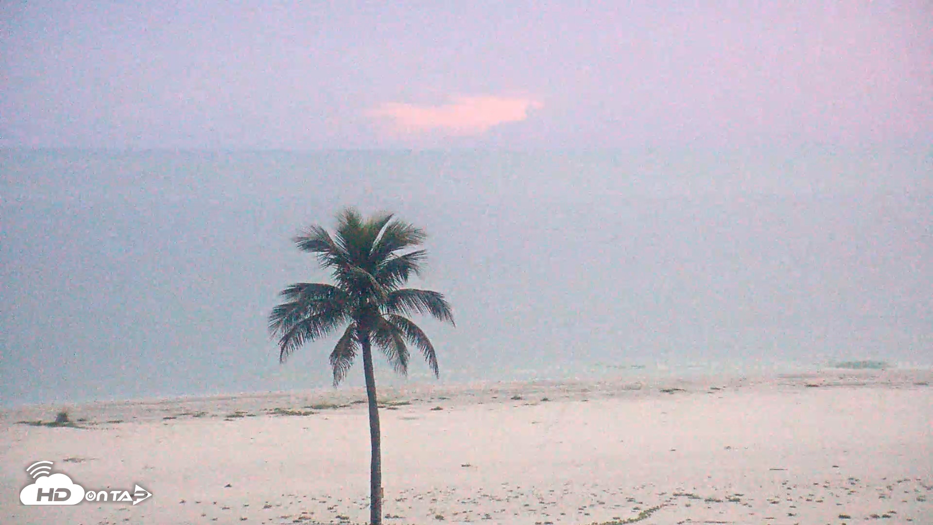Snapshot of Sanibel Island Flordia Live Webcam taken Sep 13, 2026, 7:48pm EDT