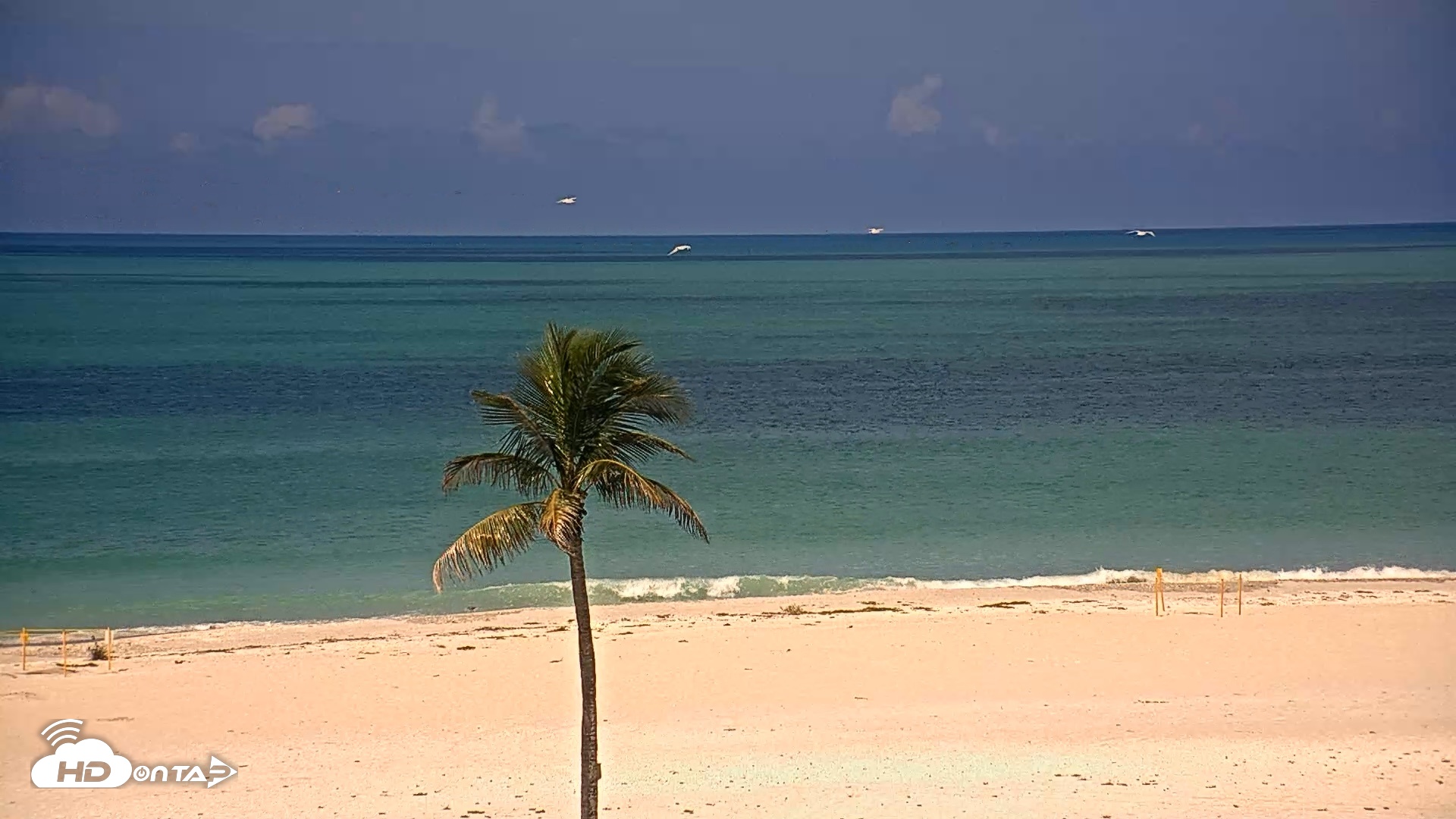 Snapshot of Sanibel Island Flordia Live Webcam taken Jun 12, 2026, 11:13am EDT