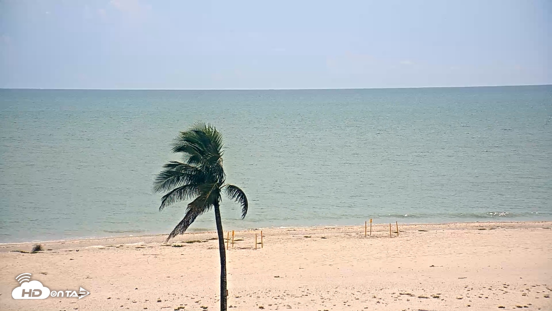 Snapshot of Sanibel Island Flordia Live Webcam taken Aug 5, 2026, 4:19pm EDT