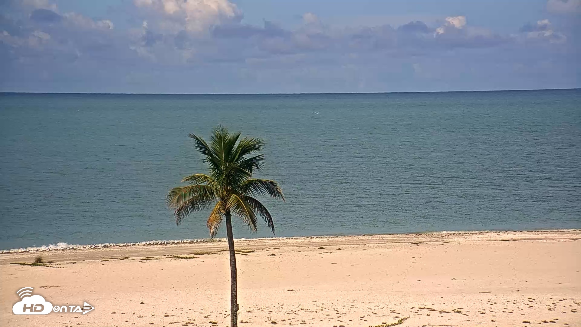 Snapshot of Sanibel Island Flordia Live Webcam taken Sep 8, 2026, 9:59am EDT