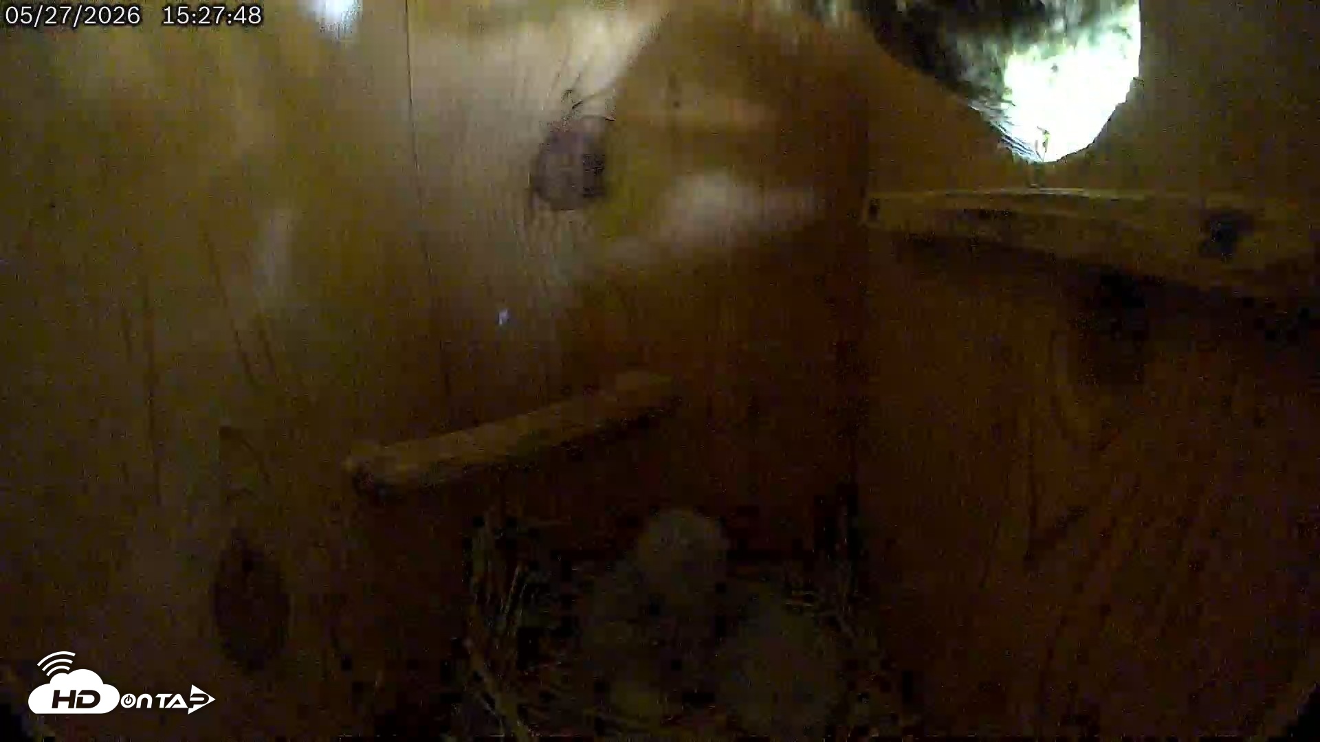 Snapshot of Eastern Screech Owl Live Cam taken May 27, 2026, 5:10pm CDT