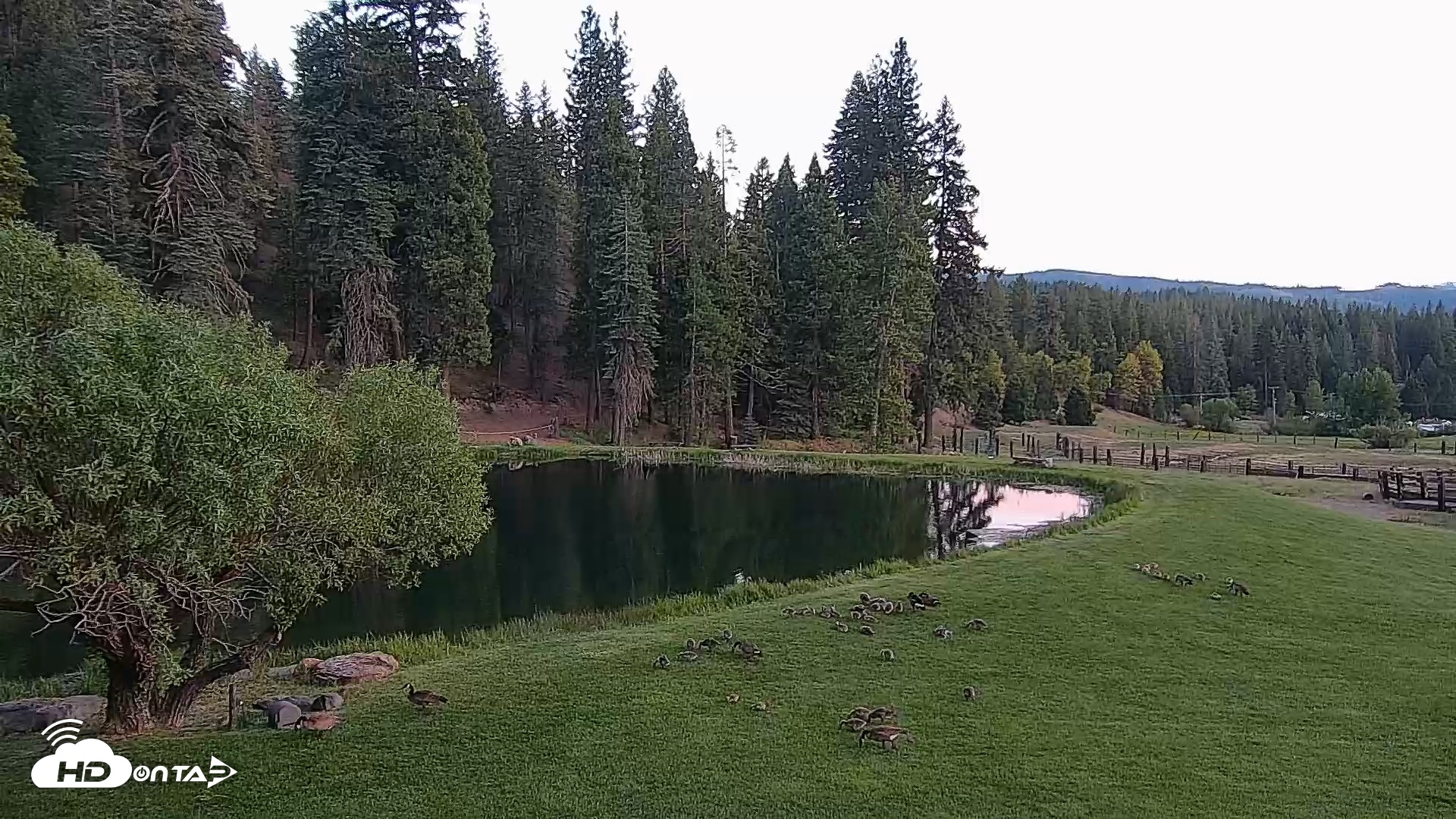 Snapshot of Greenhorn Dude Ranch Live Saloon Cam taken May 18, 2025, 8:14pm PDT