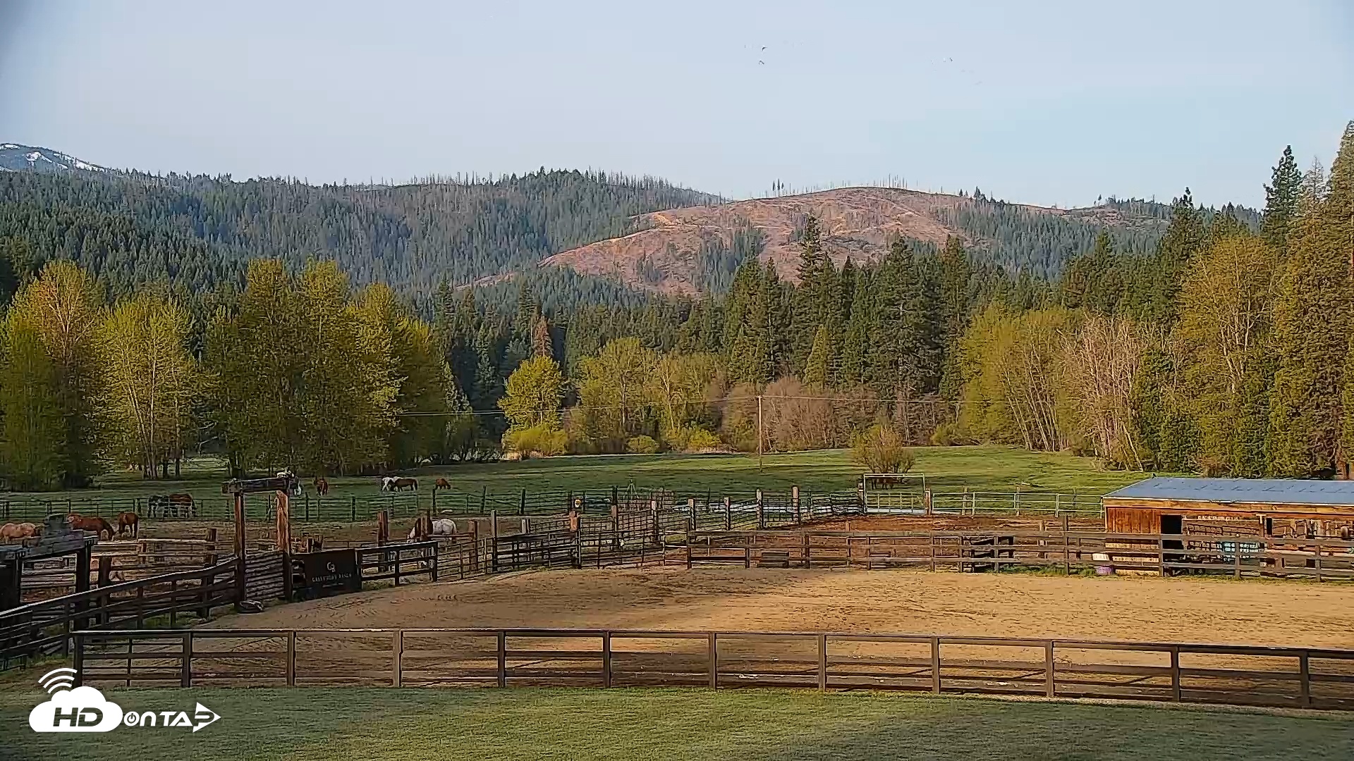 Snapshot of Greenhorn Dude Ranch Live Webcams taken Apr 24, 2025, 7:20am PDT